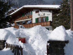 Zentral, parking und WIFI, nahe zu den Skipisten